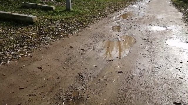 28-10-2025 спасибо за пальто. распаковка чек смотреть онлайн