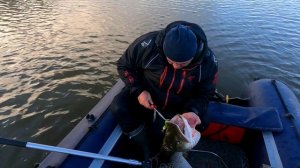 Поставил ее и сразу крокодил. Огромная мандула решает в октябре