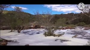 мы родились в Сибири//больше никаких гостей//обзор канала