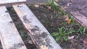 КОНЕЦ   ПОСАДОЧНОЙ ЭПОХИ