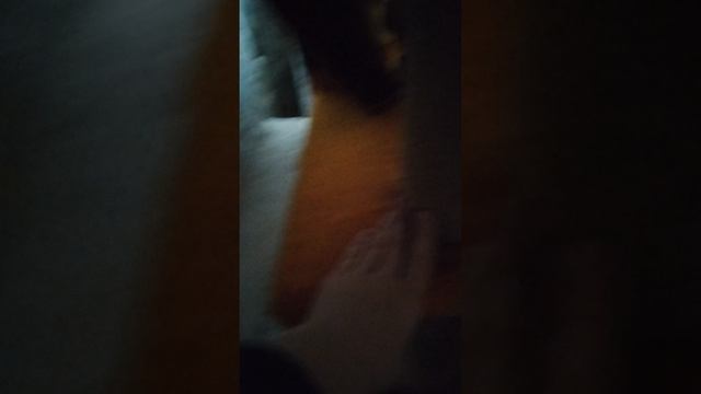 1000009834.mp4 смотреть онлайн