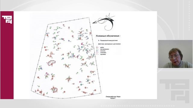 Выбор и анализ фрагмента городской среды | Лектор - Баклыская Лариса Евгеньевна смотреть онлайн