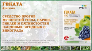 Геката - средство от мучнистой росы, парши, гнилей и пятнистостей плодовых и винограда. Обзор 2025г