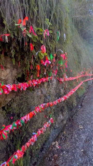 Абхазия, водопад Девичьи Слёзы сегодня (конец октября, ОСЕНЬ-2025) смотреть онлайн