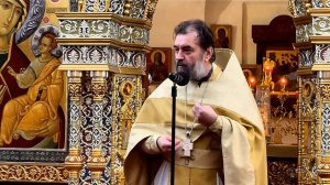 Погружайтесь и проповедуйте слово Божие! Протоиерей Андрей Ткачёв