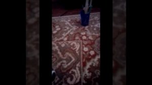 24 часа в тюрьме!