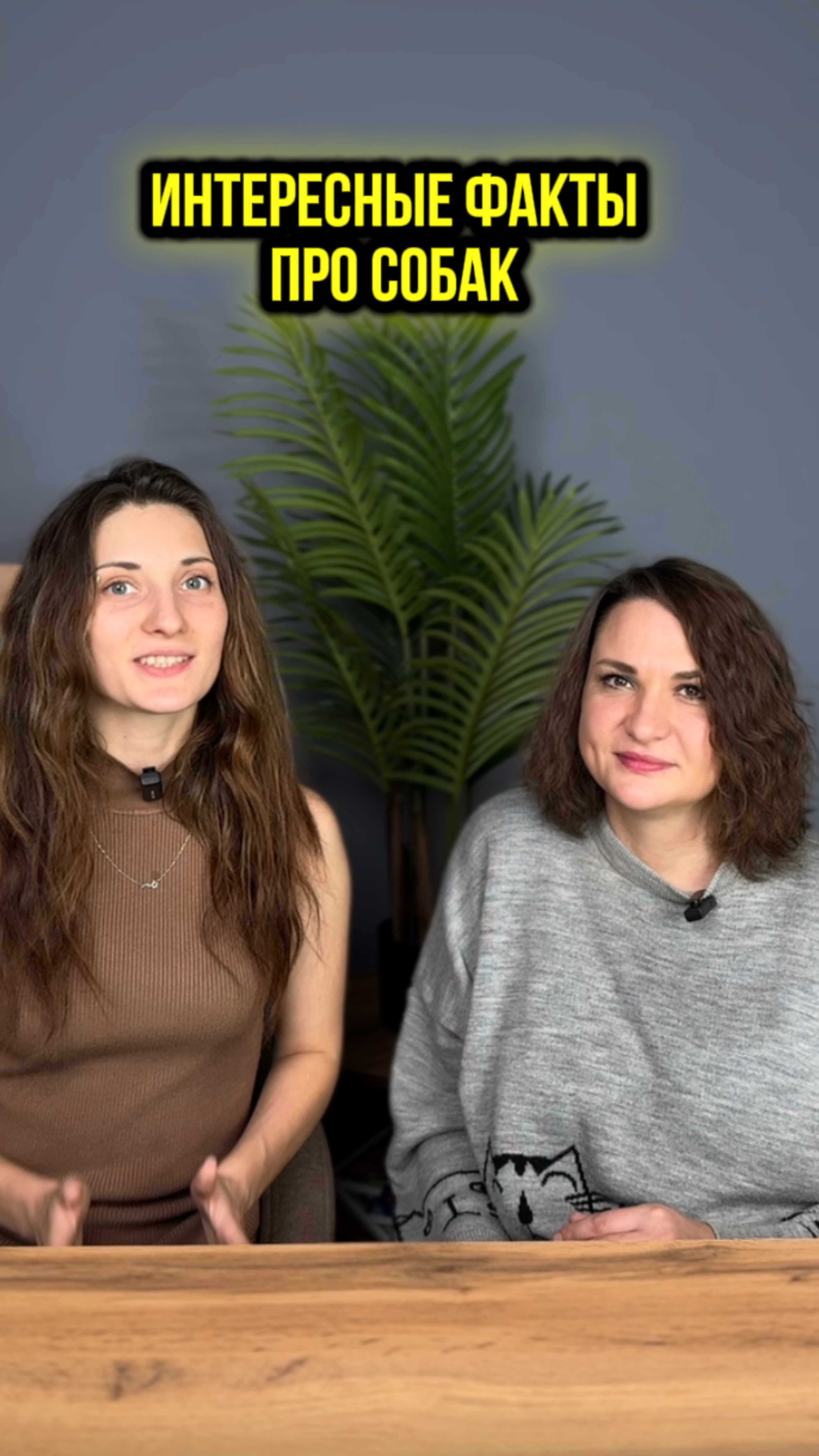 Подписывайся ❤️ смотреть онлайн