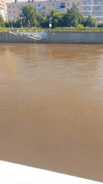 Омка в Омске смотреть онлайн