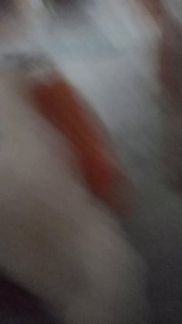Дыкын дыш дыкын дыш ЖИЗНЬ КОТОВ 