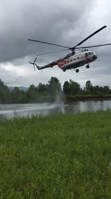 СКОЛЬКО ? смотреть онлайн