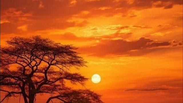 Женщины: обучение грамоте