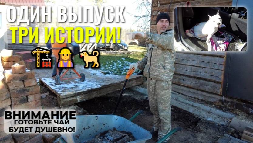 Начали стройку🏗️, проводили сестру👷♀️ и спасли собаку🐕! Один выпуск - три истории! смотреть онлайн
