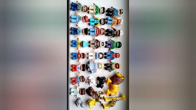 Морозники и натюрморт из срезанных листьев в октябре 2025 в нашем саду. смотреть онлайн