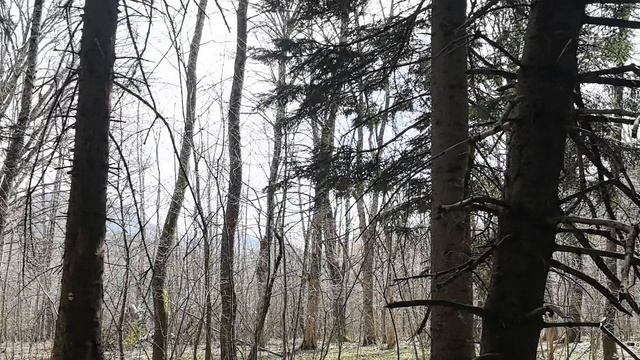 путь слишком опасный идем дальше смотреть онлайн