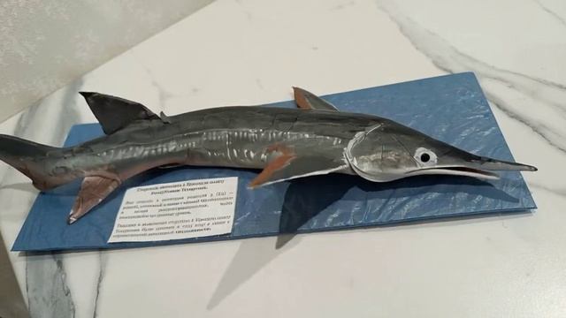 Стерлядь.mp4