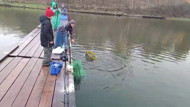 Новый понтон смотреть онлайн