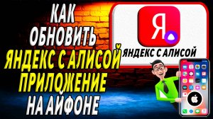 Как обновить приложение яндекс с алисой на айфоне