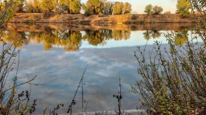 Рыбалка на Ахтубе в октябре! Осенний жор сазана!