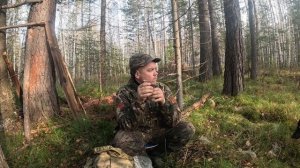 Проверка привады на Медведя