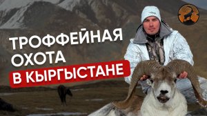 ТРОФЕЙНАЯ ОХОТА В КЫРГЫЗСТАНЕ | ОХОТА НА СНЕЖНОГО БАРАНА | РЕАЛЬНАЯ ОХОТА