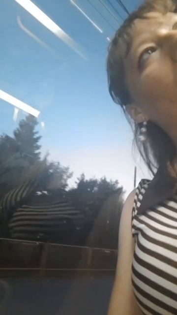 Едем домой после праздничного концерта, отметили день России супер, уставшие но довольные смотреть онлайн