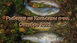 Рыбалка на Кольском п-ве. Октябрь 2025.