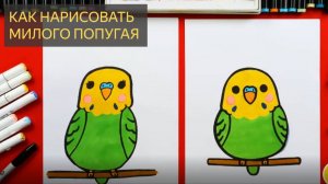 Как нарисовать милого попугая