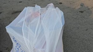 ОТПРАВКА ЗАКАЗНОГО ТРАКТОРА ТК ЖЕЛДОРЭКСПЕДИЦИЯ В Г. САНКТ-ПЕТЕРБУРГ