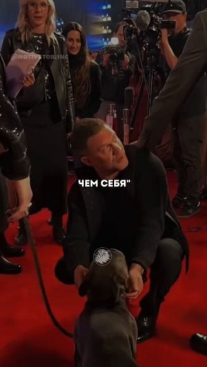 Том Харди не просто любит собак — он живёт с ними одной душой.