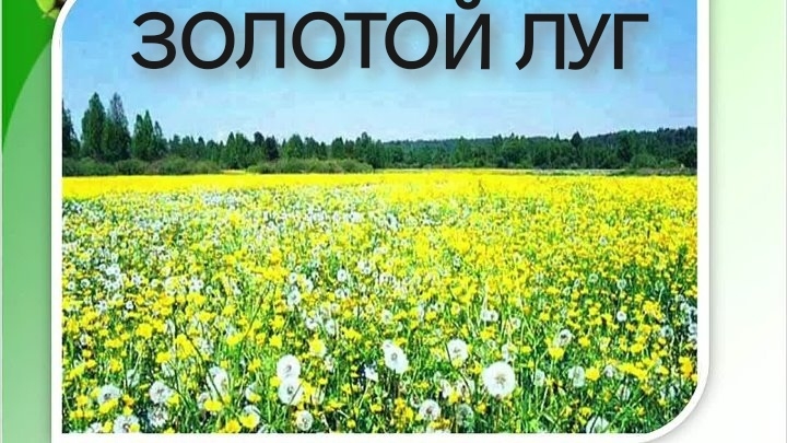 Золотой Луг (аудиосказка)