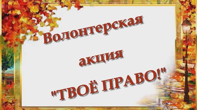 Волонтерская акция Твоё право смотреть онлайн