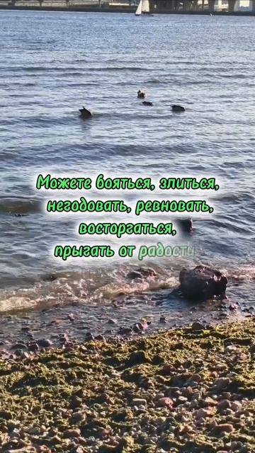 Не сдерживайте эмоции #мышление #мотивация #саморазвитие #цитаты #трансерфингреальности