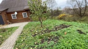 домик у Жиздры