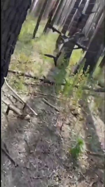 Рыболовные сети. смотреть онлайн