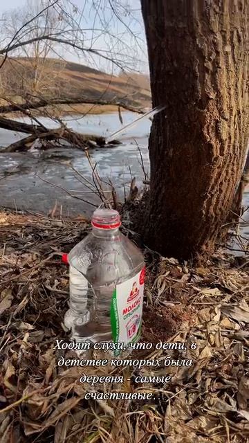 Есть такое? смотреть онлайн