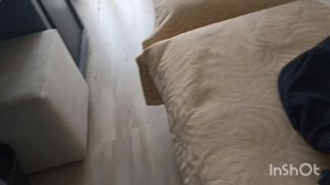 гостиница Жемчужина ,Сочи ,обзор номера ,территория ,завтрак ,октябрь 2025