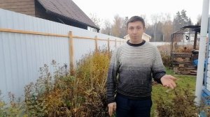 #когда лучше обрезать пионы и флоксы осенью🤓