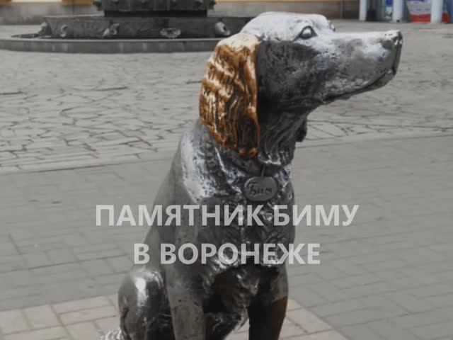 Воронеж: город, где дышит история и играет свет смотреть онлайн