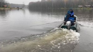 Запуск форели