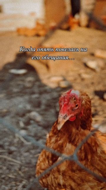 А ты не ведись🤭 смотреть онлайн