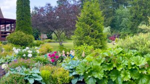 Наши садовые университеты. 20 лет опыта и ошибок.