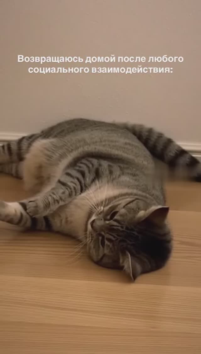 Каждый раз после работы смотреть онлайн