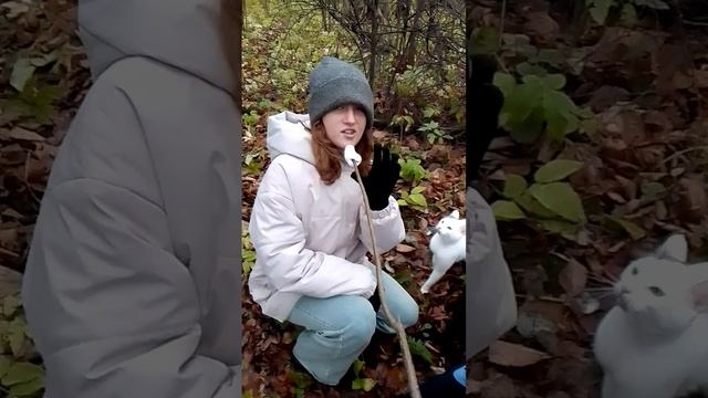 фильм роща (место одыха) смотреть онлайн