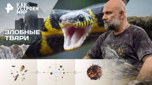 Злобные твари — Как устроен мир с Тимофеем Баженовым (28.10.2025)
