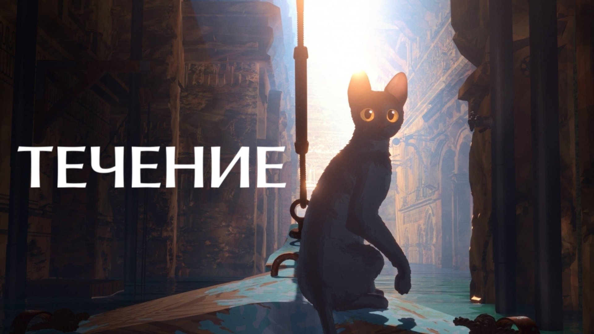 Течение