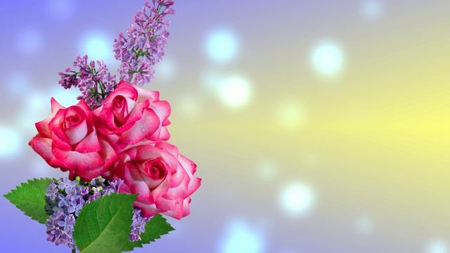 Футаж. Цветочный фон 241 смотреть онлайн