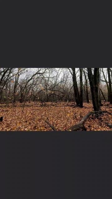 29-10-2025 смотреть онлайн