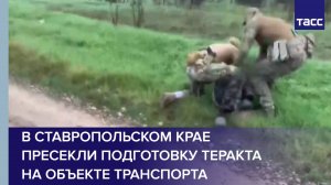 В Ставропольском крае пресекли подготовку теракта на объекте транспорта