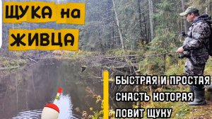 ЩУКА НА ЖИВЦА. Простой монтаж который ловит щуку!