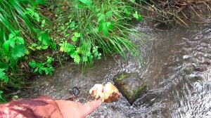 Природная ловушка для самородного Золота!